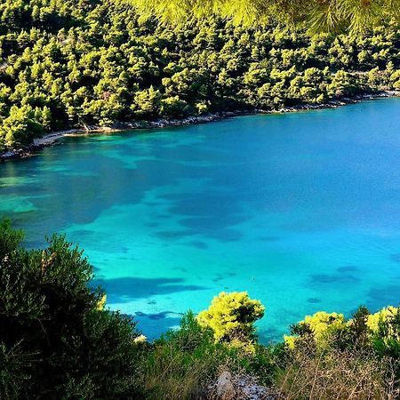 Villa Dora Zuljana Peljesac Croatia Dış mekan fotoğraf